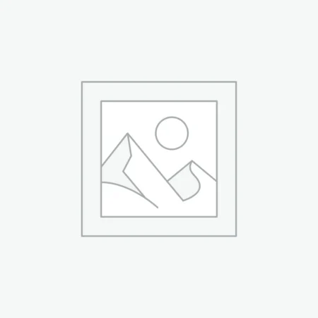 عنصر نائب Placeholder